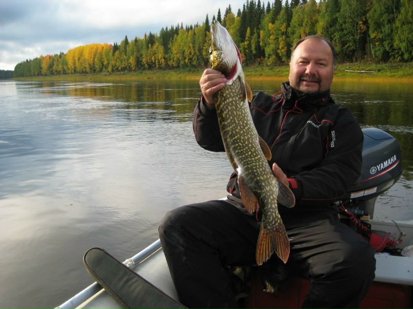 Николай Перфильев | Сыктывкар