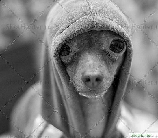 Евгения Плиско | Минск