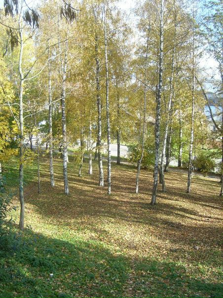 №30, Катерина Самойлова, Череповец, Россия №30, Катерина Самойлова, Череповец, Россия