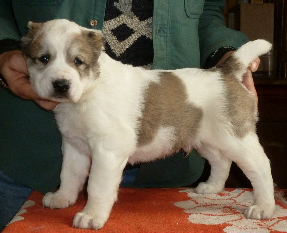 Оксана Кузьмина | Санкт-Петербург