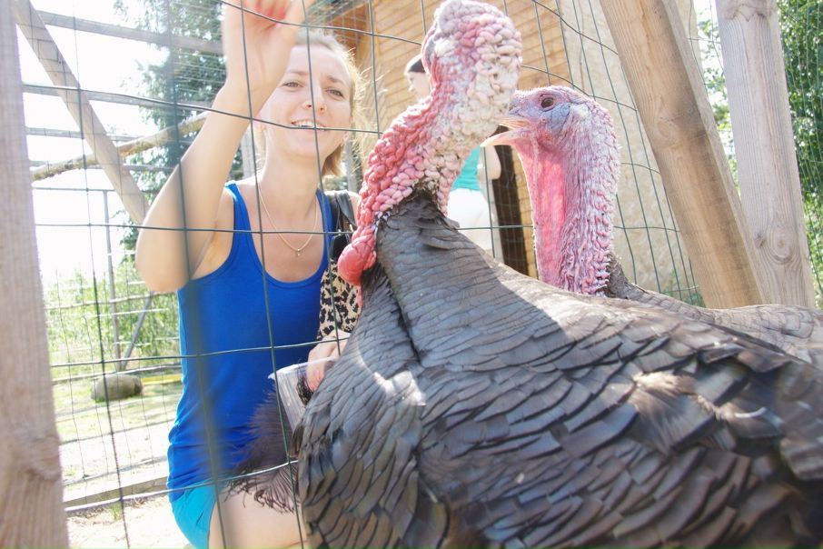 №134, Вера Буторина, 36 лет, Санкт-Петербург №134, Вера Буторина, 36 лет, Санкт-Петербург