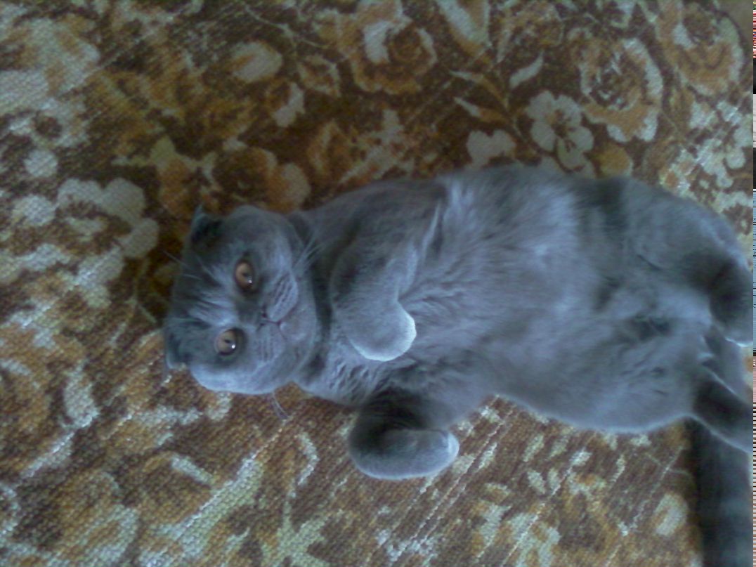 Юлия Худякова-Трунина | Корюковка