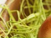 Константин Репнин Лорд | Санкт-Петербург