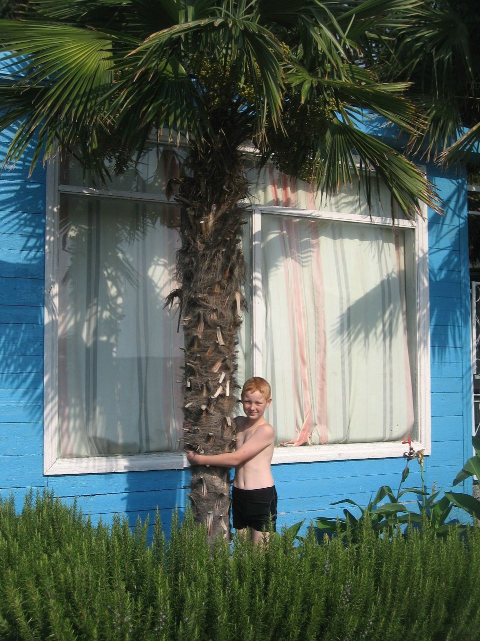 Максим Кузнецов | Санкт-Петербург