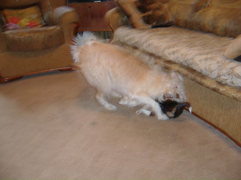 Людмила Позднякова | Белгород