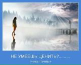 Фотография Сергей Бархатов