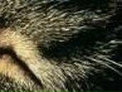 Леночка Попова | Санкт-Петербург