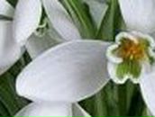 Майя Колмыкова | Белгород