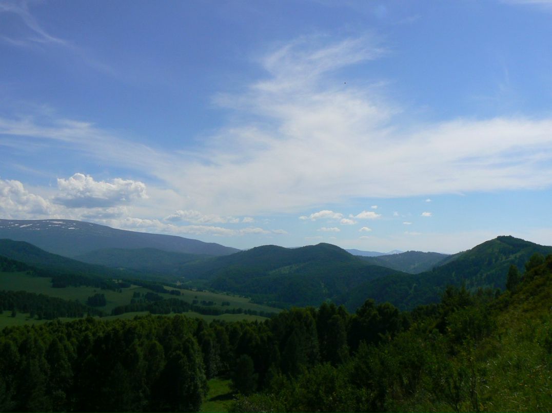 Вячеслав Рощин | 