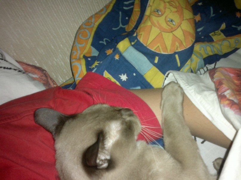 Алексей Губин | Москва