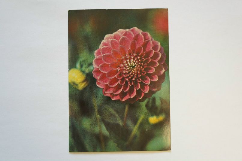 Маша Уварова | Санкт-Петербург