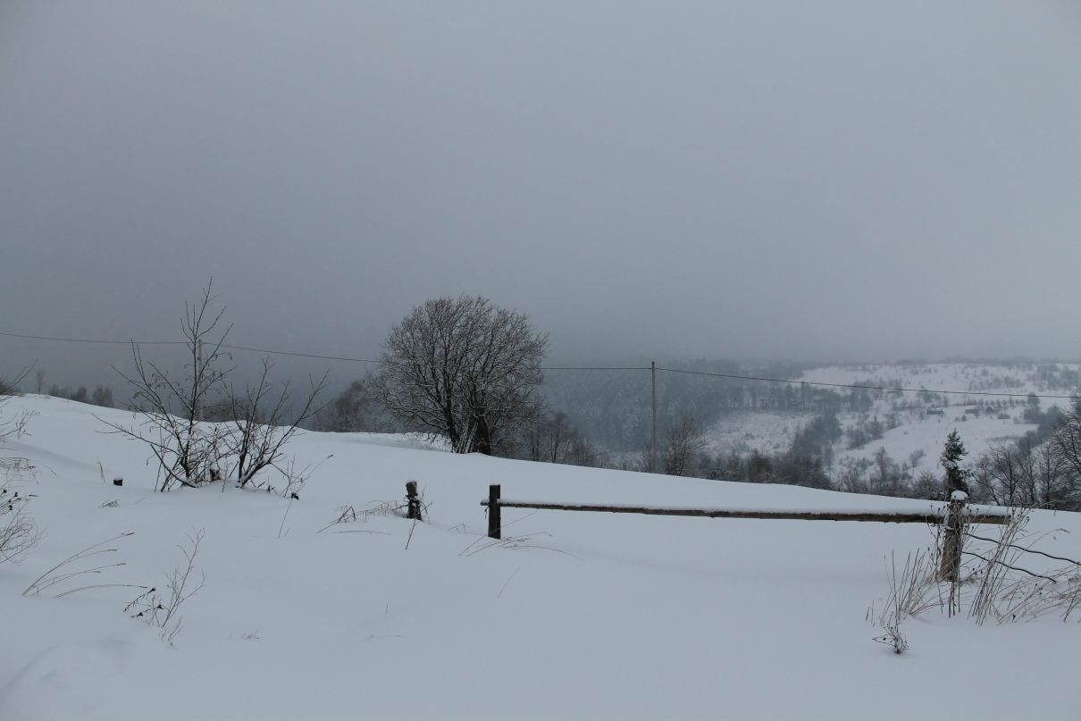 Олег Шевко ZMEY | Николаев