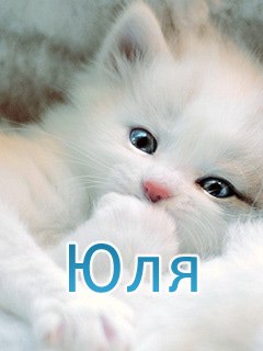 Юлия Фролова | Казань