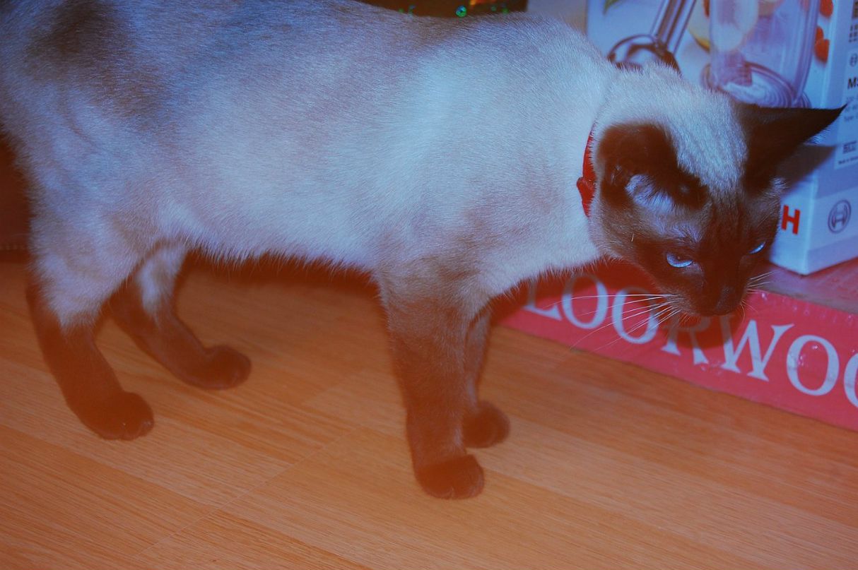 Катерина Антипова | Уфа