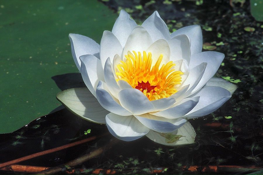 №8, Вася Маслов, 34 года, Saint Petersburg №8, Вася Маслов, 34 года, Saint Petersburg