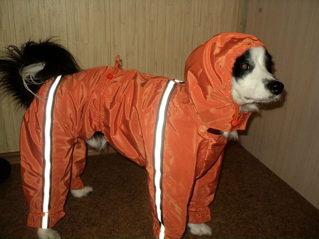 Ленар Галиев len® | Казань