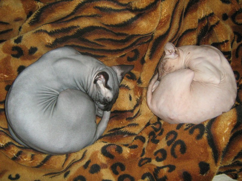 Кристина Сенчугова ♥^√V''^√\√V''^√\♥ | Владимир