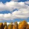 №98, Наталья Аджигитова, 58 лет, Астана №98, Наталья Аджигитова, 58 лет, Астана