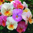 №13 Анна Куницына 25.10: профиль, фото, статус - ВКонтакте