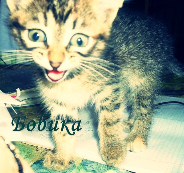 Миляуша Набиуллина | 