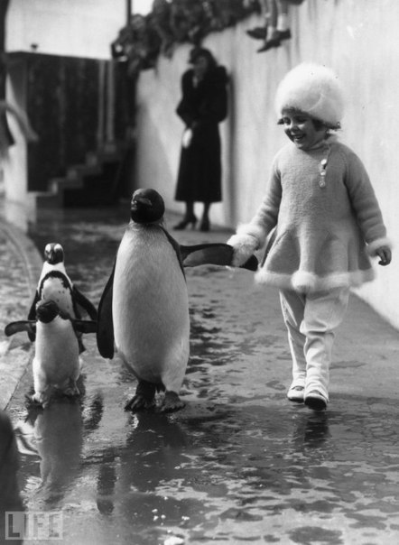 Денис Сизых | Иркутск