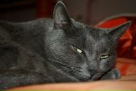 №12 Аринка Кочетова 25.05.1991: профиль, фото, статус - ВКонтакте