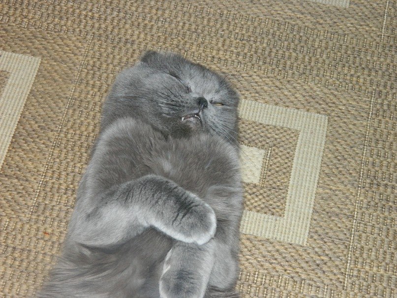 Наталья Смирнова | Пестово