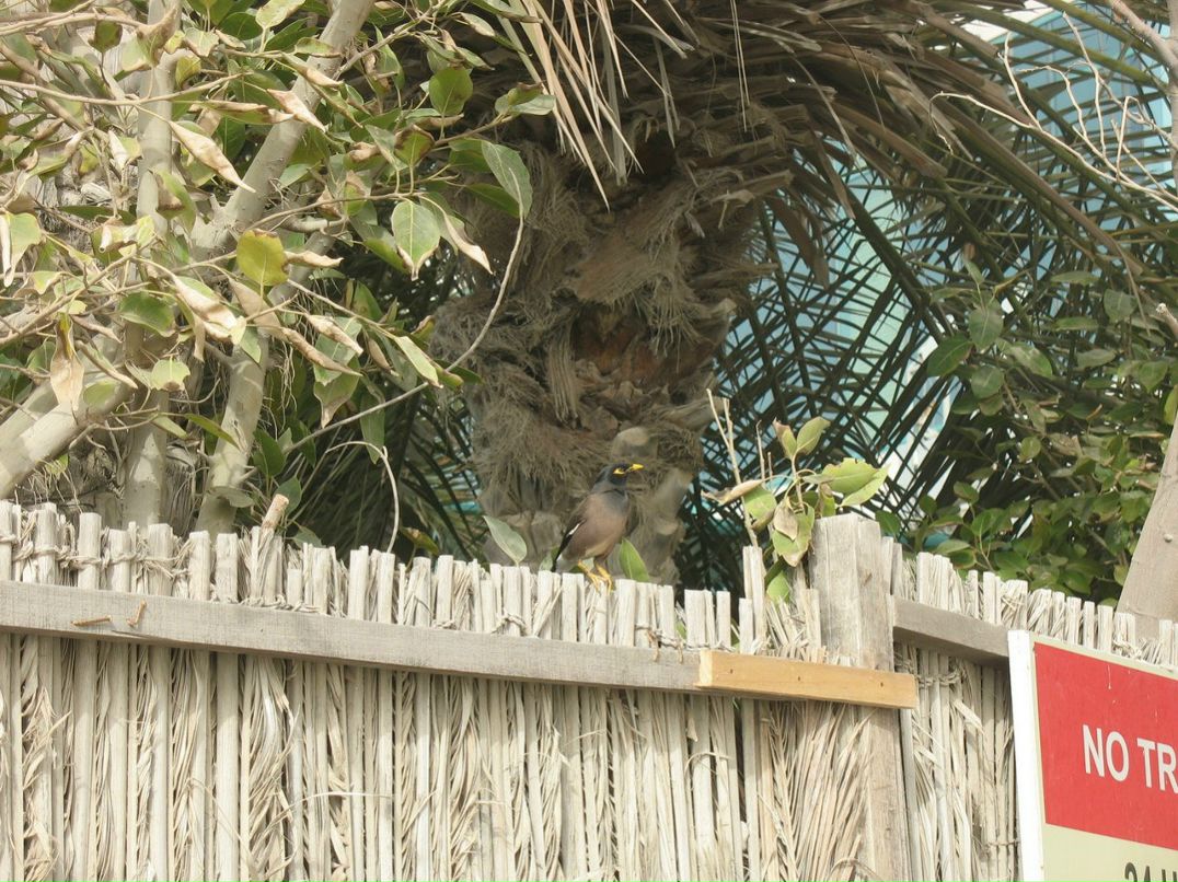 Болеслав Малиновский BolesLAB | Киев