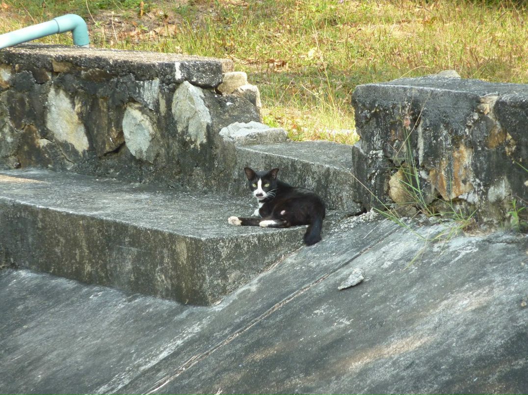 Никита Митковский | Москва