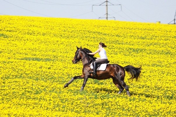 Panic Fear | | Баку