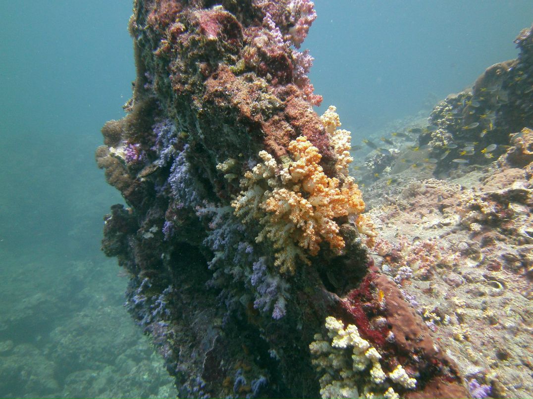 Марат Жандосов | Алматы