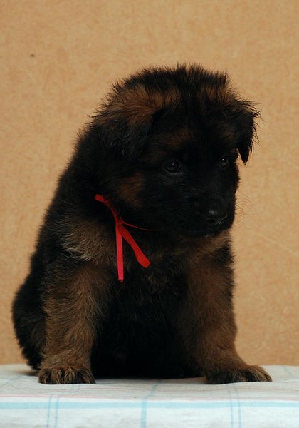 Екатерина Гравшенкова | Хабаровск