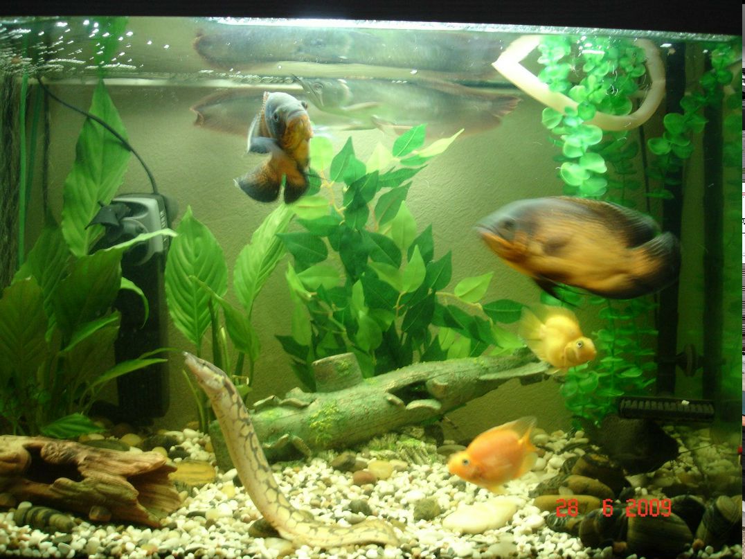 Артем Шамков | Всеволожск