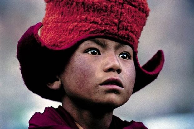 Лев Настоящий | 