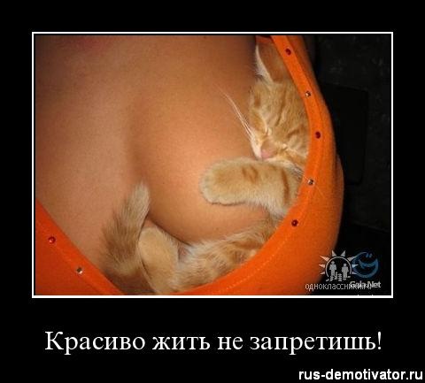 №14, Андрей Михеенко №14, Андрей Михеенко