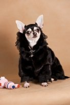 Александра Богатырева Белка | Екатеринбург