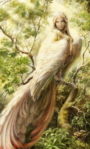 Николай Лебедев | Санкт-Петербург