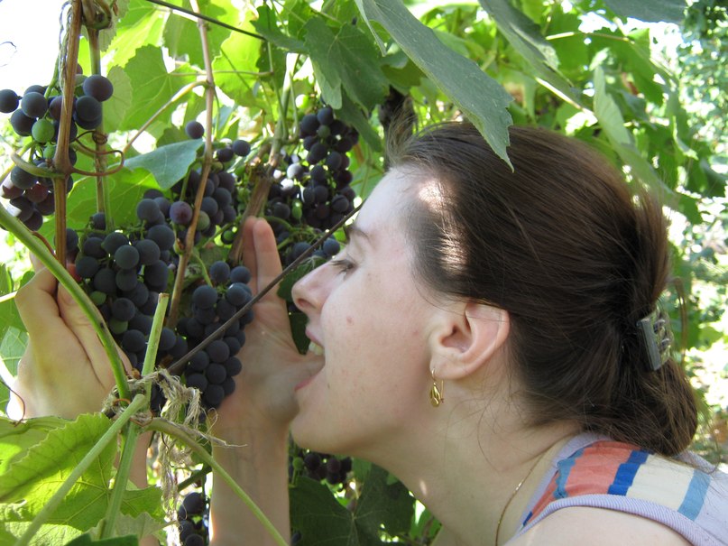 Надежда Михайлова | Москва