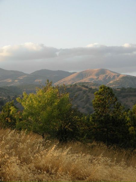 №118, Шарли Wanderer №118, Шарли Wanderer