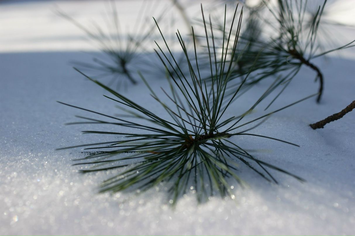 Мария Чудесникова Грейс | Москва