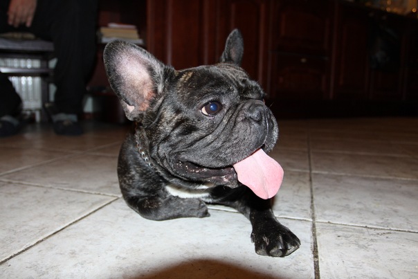 №87, Светлана Антонова, 44 года, Санкт-Петербург №87, Светлана Антонова, 44 года, Санкт-Петербург