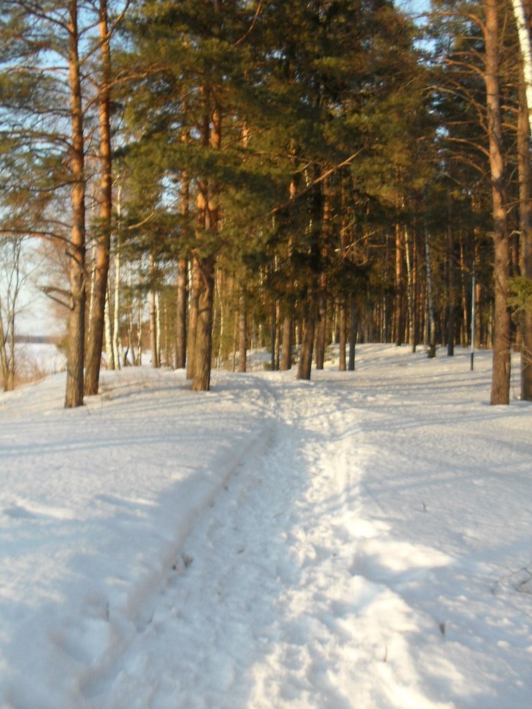 Алиса Новикова | Москва