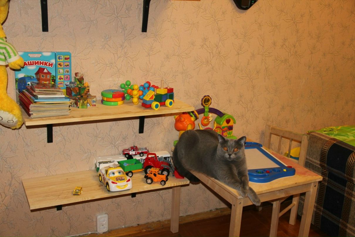 Екатерина Ненилина-Бадьина | Санкт-Петербург