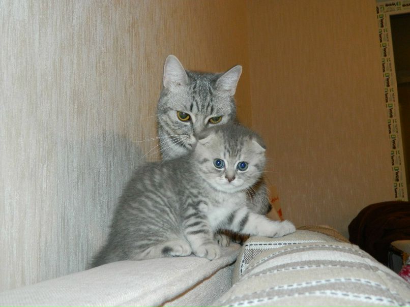 Анна Третьякова TAGI | Ирпень