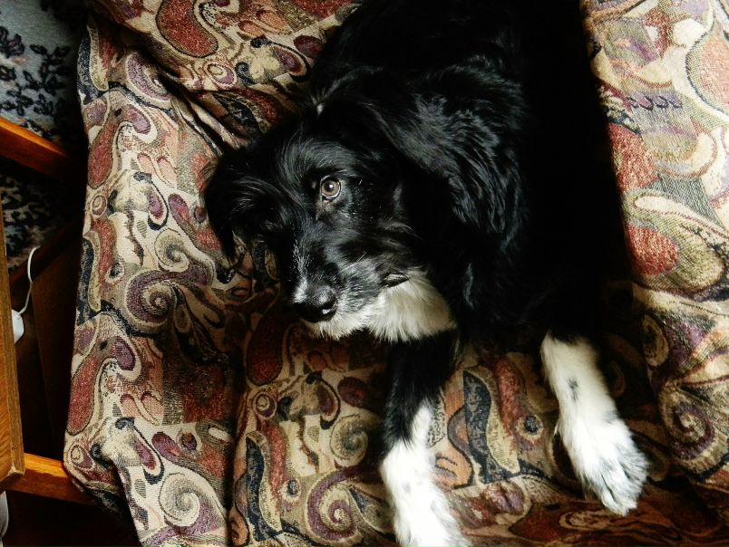 №54, Эмилия Хчеян, 33 года, Балашиха №54, Эмилия Хчеян, 33 года, Балашиха