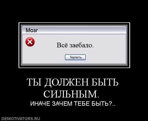 Александр Случ | Киев