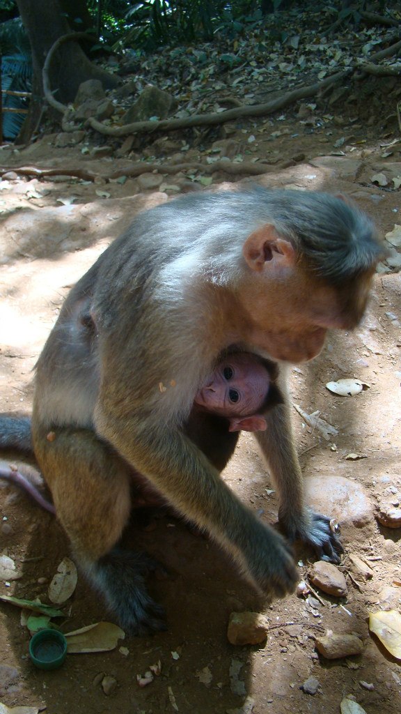 Анна Скарженюк | Уфа