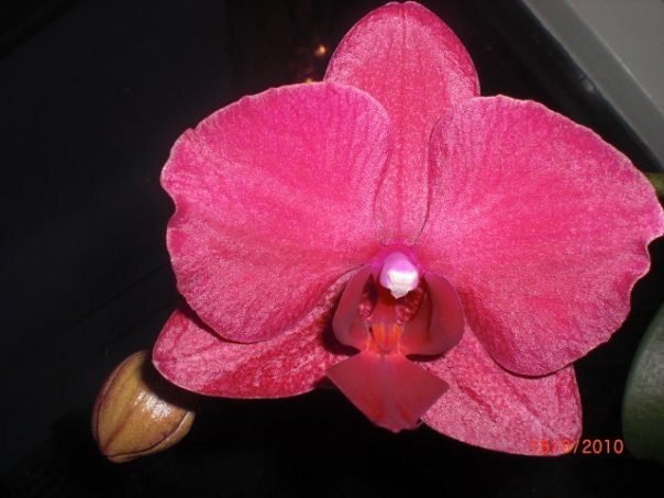 Татьяна Бляхова | Санкт-Петербург