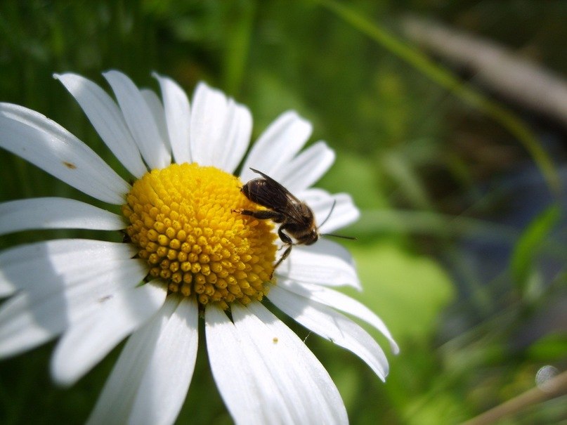 Татьяна Пелих | Москва