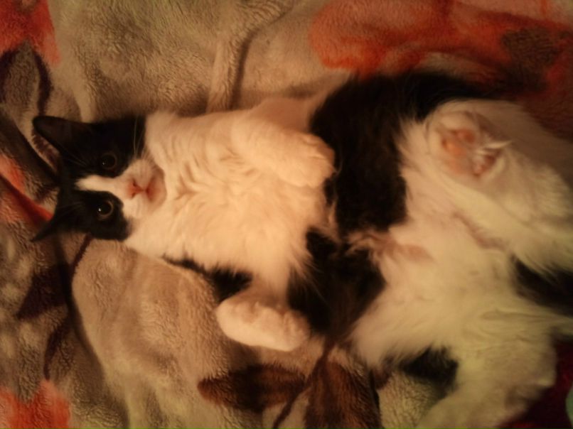 Стэллочка Станкониец | Санкт-Петербург